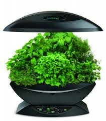 indoor garden